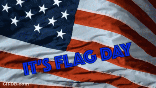 American Flag Saying It's Flag Day GIF