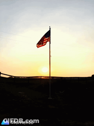 American Flag Silhouetted Against Sunset With Momento Logo GIF