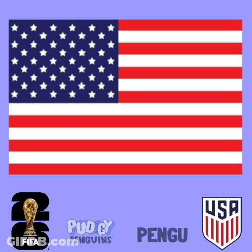 American Flag Surrounded By FIFA Pug Cy Penguins And USF Logos GIF