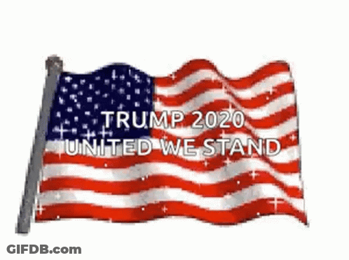 American Flag Trump 2020 United We Stand GIF