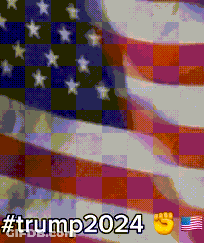 American Flag Trump2024 GIF