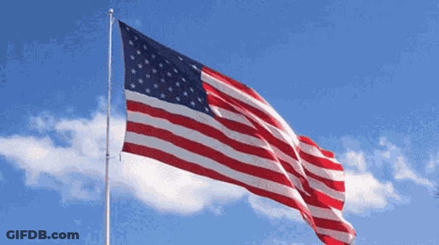 American Flag Usa GIF