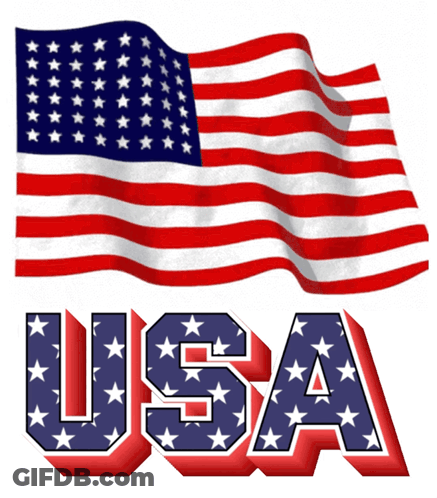 American Flag USA With Stars GIF