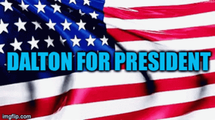 American Flag Waving Dalton For President GIF