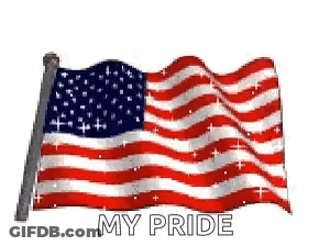 American Flag Waving In Wind GIF