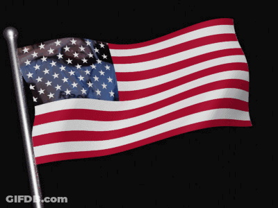 American Flag Waving In Wind GIF