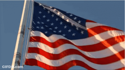 American Flag Waving In Wind GIF