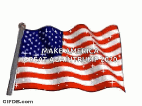 American Flag Waving Make America Great Again Trump 2020 GIF