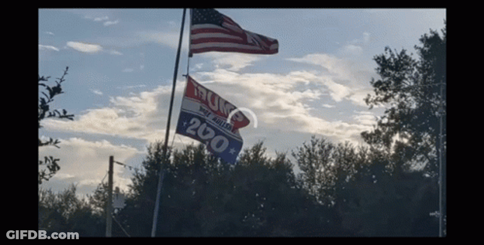 American Flag Waving Trump GIF