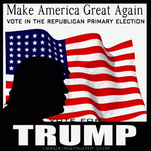 American Flag Waving Vote For Trump GIF