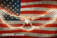 American Flag With Eagle GIF