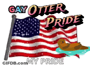 American Flag With Gay Otter Pride GIF