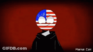 American Flag With Markai Cat GIF