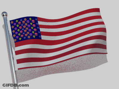 American Flag With Skulls GIF
