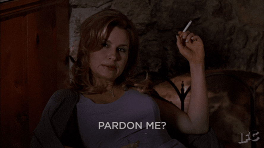 American Pie Jennifer Coolidge Pardon Me GIF