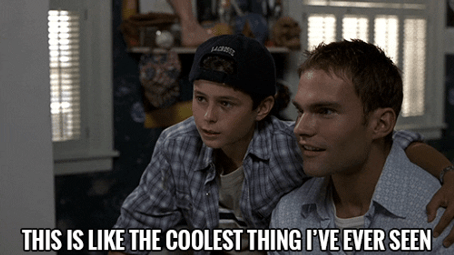 American Pie Stifler Coolest Thing GIF