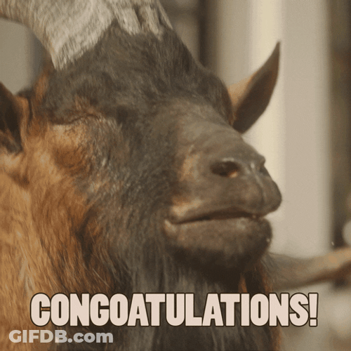 American Pygmy Congratulation Smile GIF