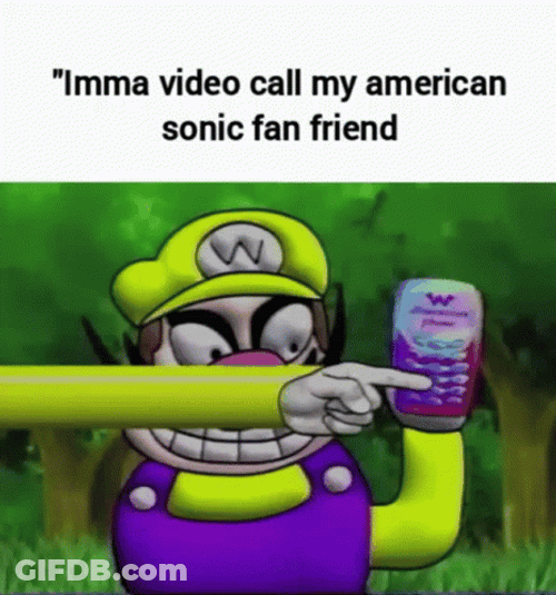American Sonic Friend Video Call GIF