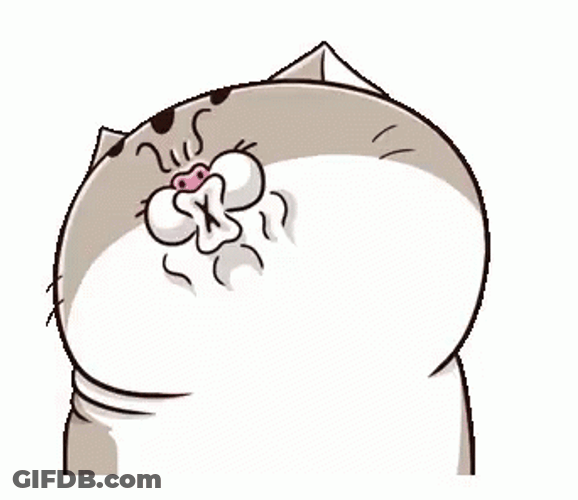 Ami Fat Cat Nope Dont Like That GIF