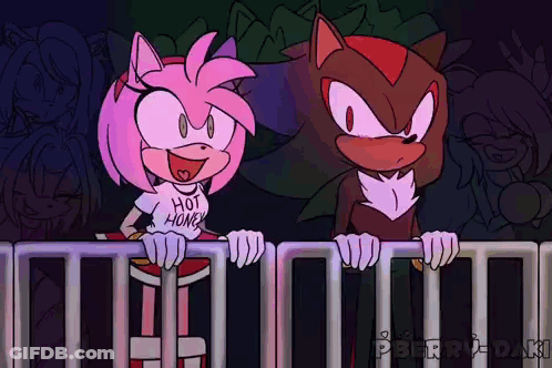Amy And Shadow Over Fence GIF