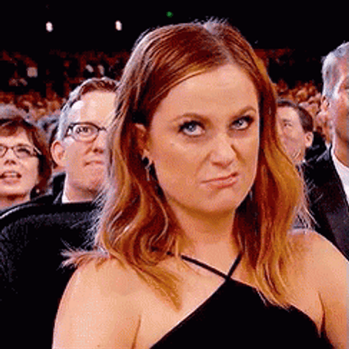 Amy Poehler Absurd Face GIF