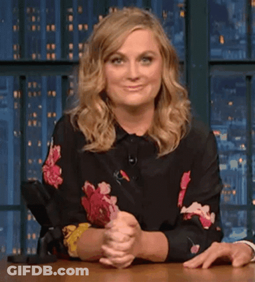 Amy Poehler Doing Chef's Kiss GIF