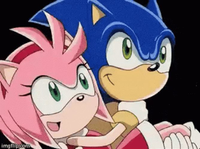 Amy Rose Kisses Sonic GIF