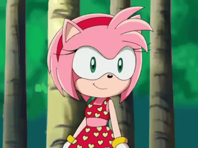 Amy Rose Sonic X Cartoon GIF