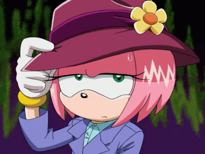 Amy Rose Wears Cute Hat GIF