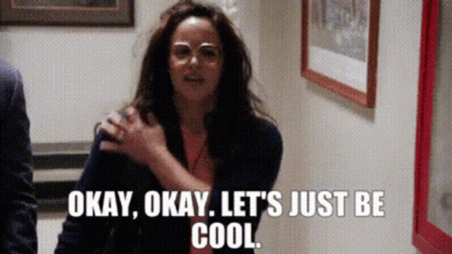 Amy Santiago Let's Just Be Cool GIF