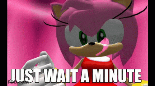Amy The Hedgehog Saying Just Wait A Minute GIF