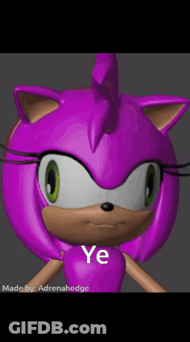 Amy The Hedgehog With Ye Shirt GIF
