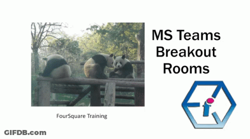 An Ad For Ms Teams Breakout Rooms Shows Panda Bears GIF