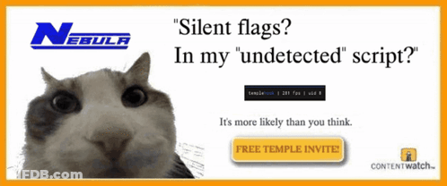 An Ad For Nebula Shows A Cat And Says " Silent Flags In My " Undetected Script " GIF