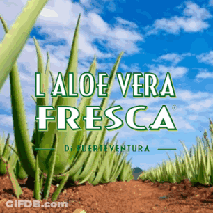 An Advertisement For Aloe Vera Fresca Shows A Field Of Plants GIF