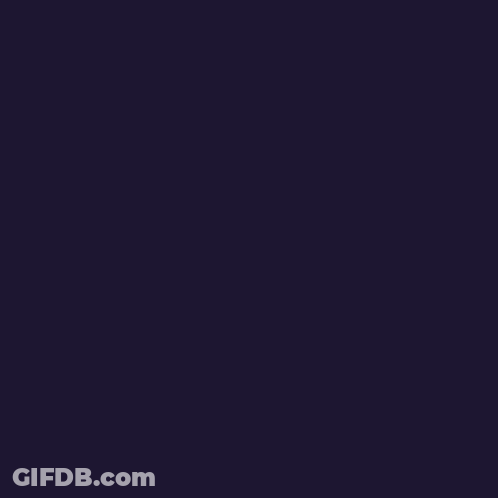 An Advertisement For Black Friday With A Sale Tag And A Promo Tag GIF