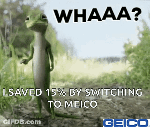 An Advertisement For Geico Shows A Lizard Standing In The Grass GIF