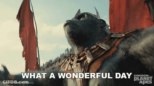 An Advertisement For Kingdom Of The Planet Apes Shows A Gorilla GIF