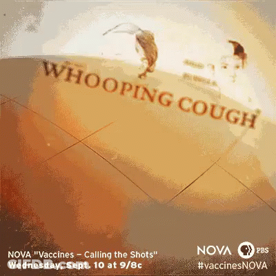 An Advertisement For Nova Vaccines Called Whooping Cough On Wednesday Sept 10 At 9 / 8C GIF