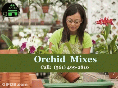 An Advertisement For Orchid Mixes Shows A Woman Planting Flowers GIF