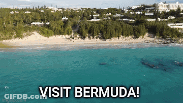 An Aerial View Of A Beach With The Words Visit Bermuda On The Bottom GIF