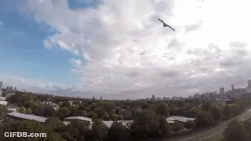 An Aerial View Of A Bird Flying In The Sky Over A City GIF
