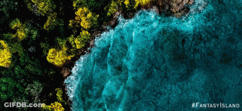 An Aerial View Of A Body Of Water Surrounded By Trees With The Hashtag Fantasy Island GIF