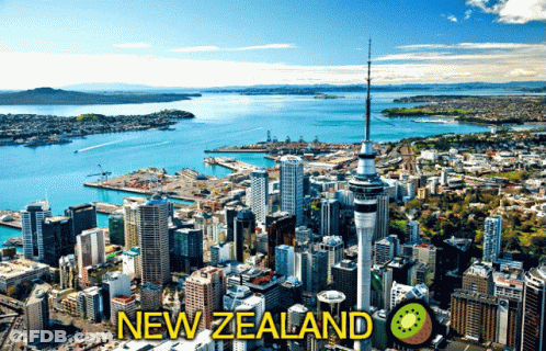 An Aerial View Of A City In New Zealand With A Kiwi In The Foreground GIF