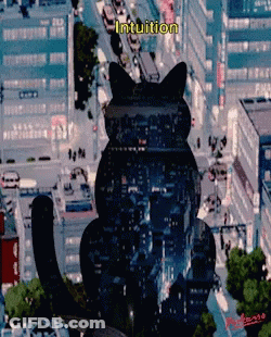An Aerial View Of A City With A Cat In The Foreground And The Words Intuition Above It GIF