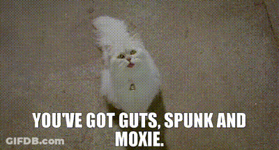 An Aerial View Of A City With The Words " You 'Ve Got Guts Spunk And Moxie " On The Bottom GIF