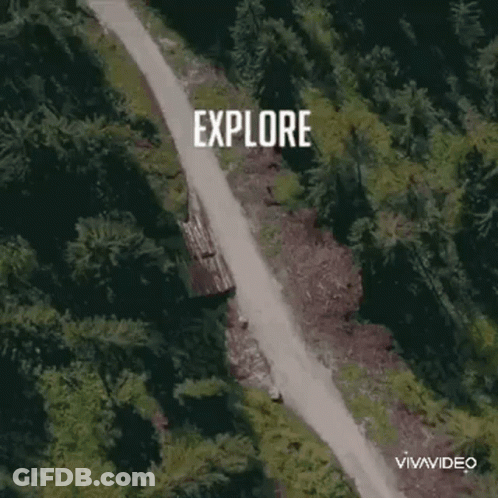 An Aerial View Of A Dirt Road In The Middle Of A Forest GIF