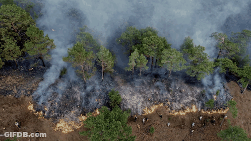 An Aerial View Of A Forest Fire With Smoke Coming From The Trees GIF