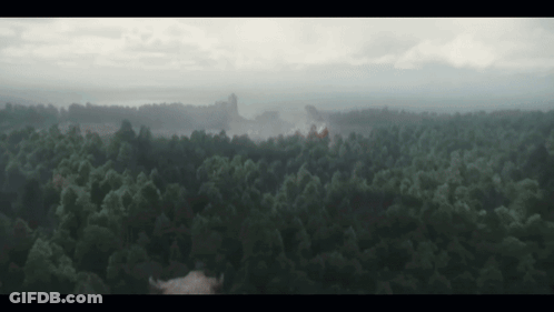 An Aerial View Of A Forest With A Castle In The Distance . GIF