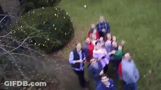 An Aerial View Of A Group Of People Standing On A Grassy Field GIF